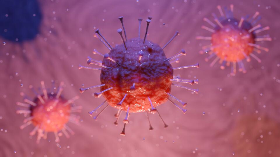 Coronavirus-Zellen unter dem Mikroskop