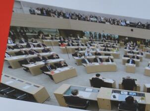 Politiker Speeddating