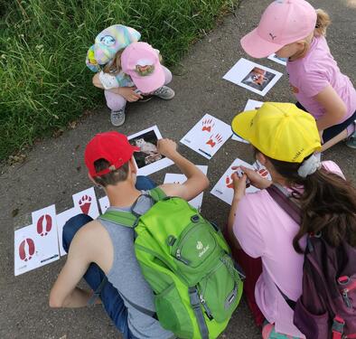 Angebote 2026 - Bild 2